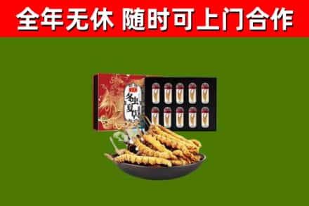 焦作烟酒回收冬虫夏草礼盒.jpg